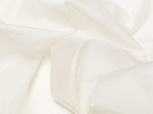 Society Silk Organza Fabric Ivory