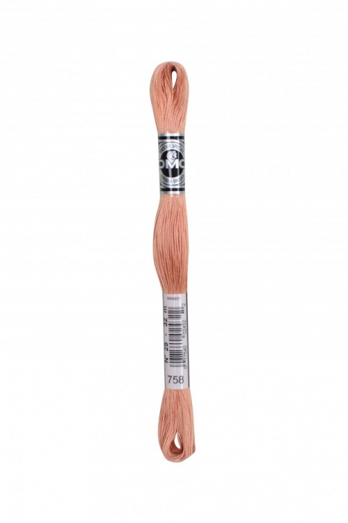 DMC Size 16 Coton A Broder Special Embroidery Thread 758
