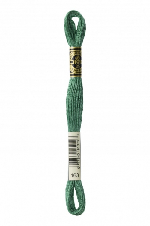 DMC Stranded Cotton Embroidery Thread 163