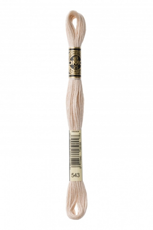 DMC Stranded Cotton Embroidery Thread 543