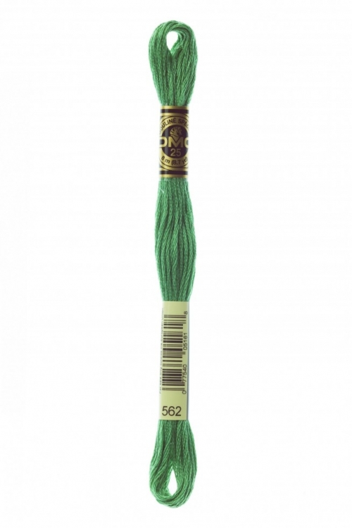DMC Stranded Cotton Embroidery Thread 562