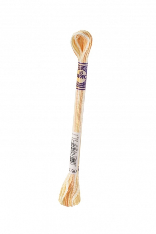 DMC Color Variations Embroidery Thread 4090