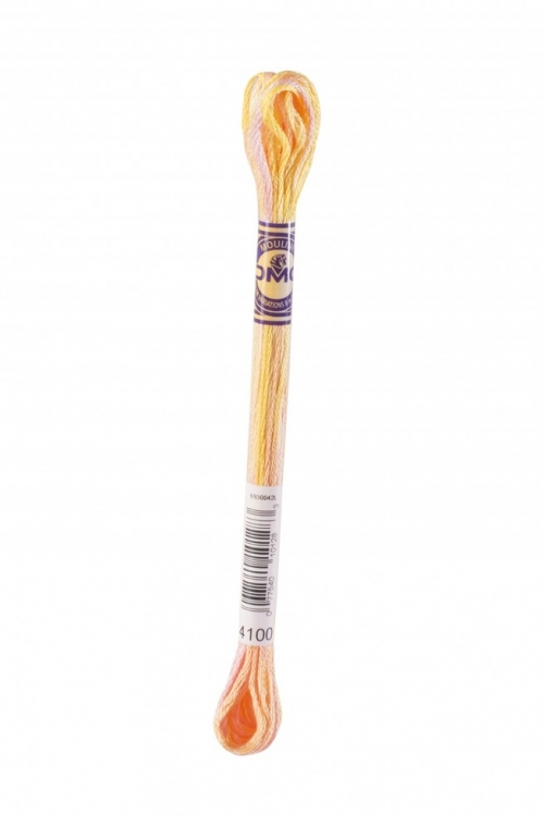 DMC Color Variations Embroidery Thread 4100