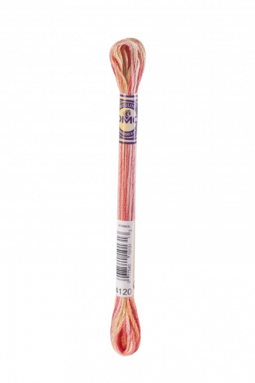DMC Color Variations Embroidery Thread 4120