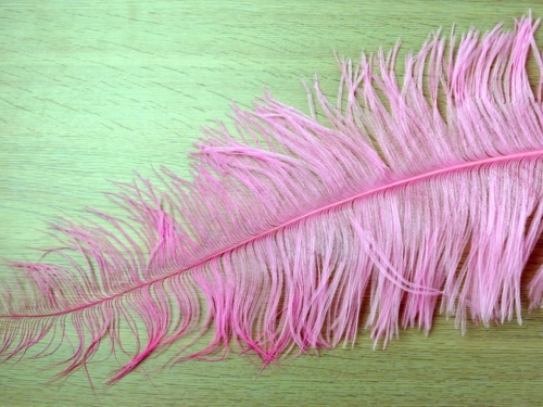 Small Chick Feathers Light Cerise Pink
