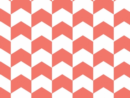 Camelot Fabrics 100% Cotton Poplin Fabric Grapefruit