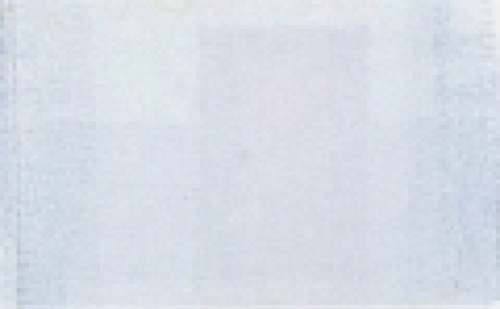 Berwick Offray Arabesque Ribbon White