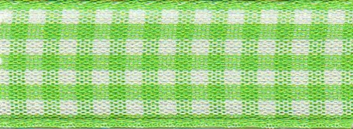 Berisfords Gingham Ribbon (Value Roll) 664 Meadow