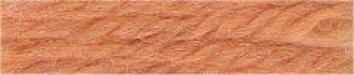 Anchor Tapestry Wool (Value Pack) 9554