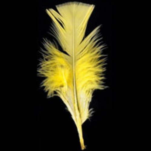 Trimits Turkey Craft Feathers (Value Pack of 5) Yellow