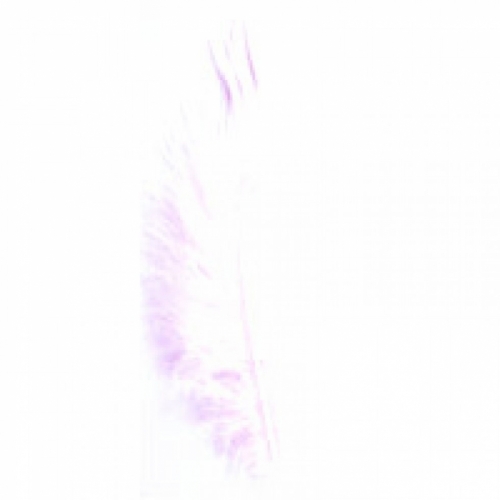 Trimits Turkey Craft Feathers (Value Pack of 5) Pink