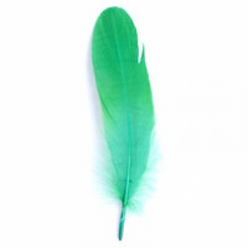 Trimits Goose Craft Feathers (Value Pack of 5) Green
