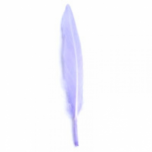 Trimits Duck Craft Feathers (Value Pack of 5) Lilac