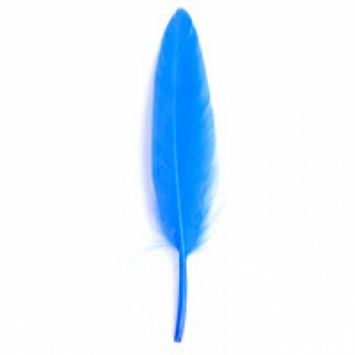 Trimits Duck Craft Feathers (Value Pack of 5) Royal Blue