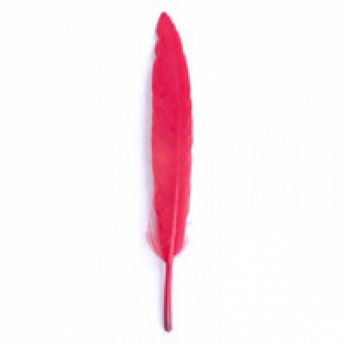 Trimits Duck Craft Feathers (Value Pack of 5) Red