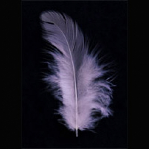 Trimits Hen Craft Feathers (Value Pack of 5) Pink