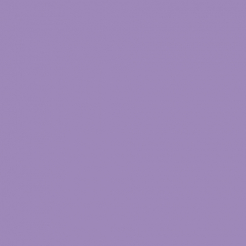 Coats Nylbond Strong Sewing Thread 4542
