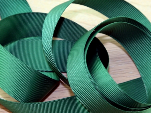 Prym Ribbed Polyester Tape Green