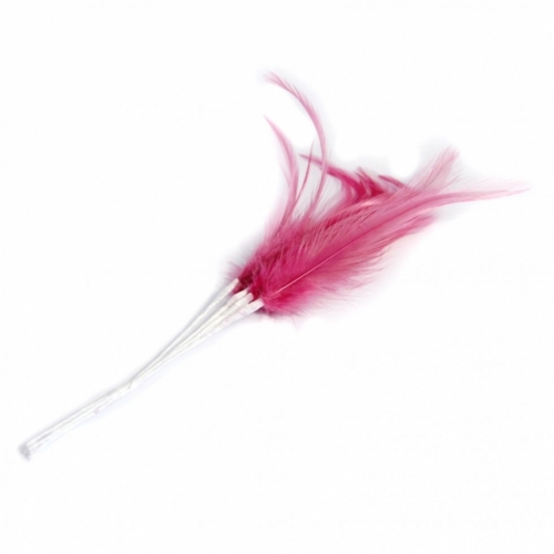 Narrow Feathers (Value Pack) Cerise