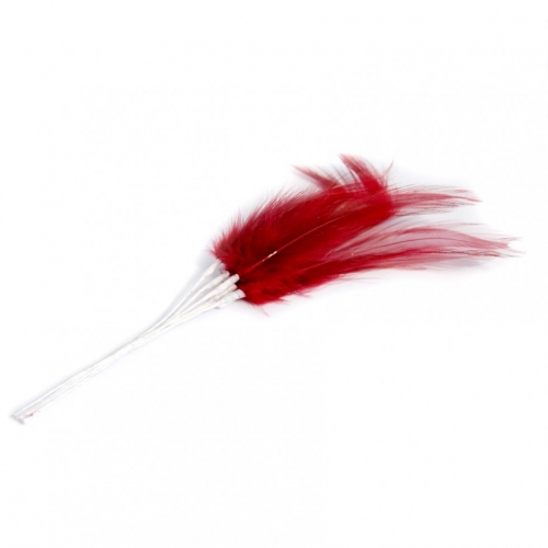 Narrow Feathers (Value Pack) Claret