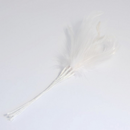 Narrow Feathers (Value Pack) White