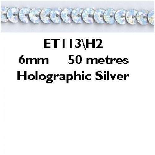 Essential Trimmings Strung Single Sequin Trim Holographic Silver
