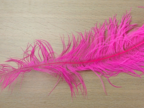 Large Spadone Feathers Cerise Pink
