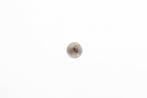 Trimits Blossom Pearl Buttons Ivory