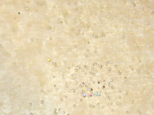 Deadstock Embellished Organza Fabric Gold