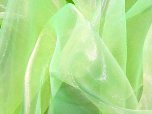 Deadstock Sheer Organza Fabric Flo Green