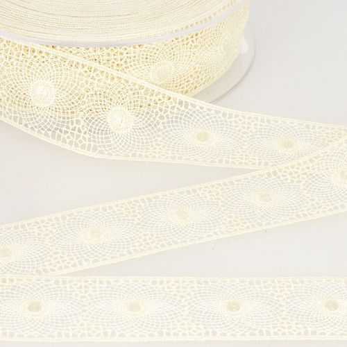 Stephanoise Embroidery Tulle Lace Trim Ecru
