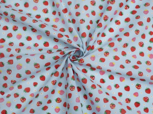 Printed Polycotton Fabric Sky