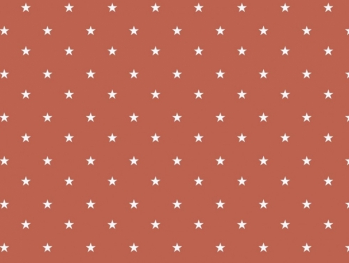 100% Cotton Poplin Fabric Brique