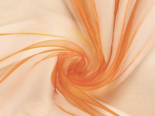 Sheer Organza Fabric Burnt Orange