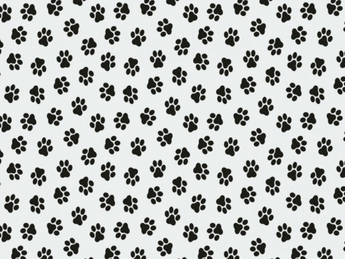 100% Cotton Poplin Fabric Ivory