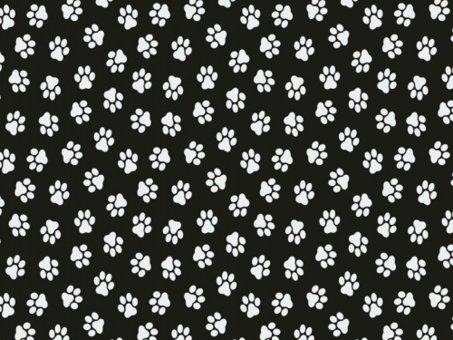 100% Cotton Poplin Fabric Black