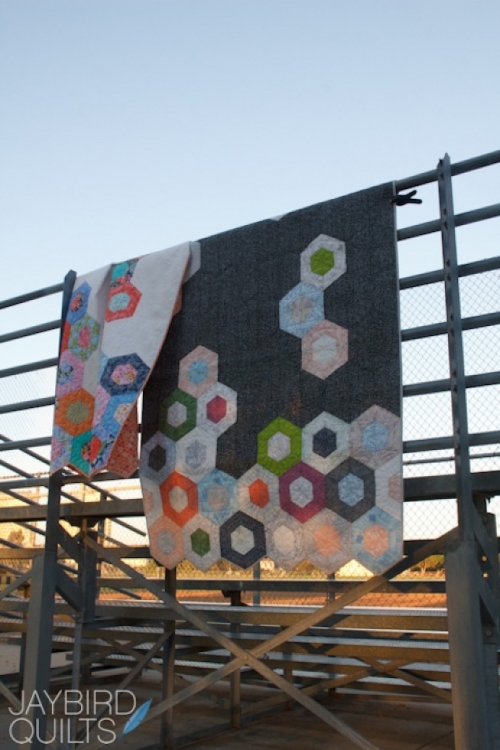 Jaybird Quilting Pattern Science Fair Quilt
