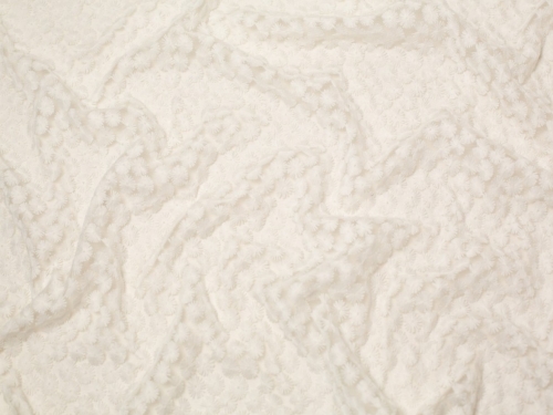 Leige Embroidered Lace Fabric Ivory