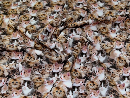 John Louden Cotton Canvas Fabric Fawn
